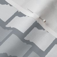 Missouri State Shape Pattern Grey and White