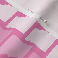 Missouri State Shape Pattern Pink and White