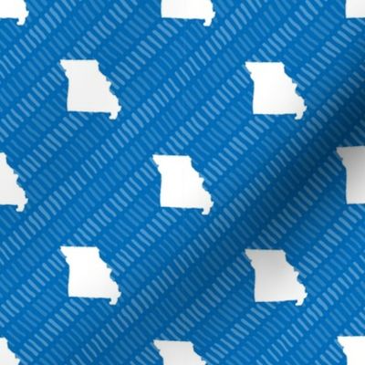 Missouri State Shape Pattern Blue and White Stripes