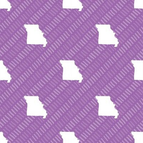 Missouri State Shape Pattern Purple and White Stripes