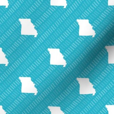 Missouri State Shape Pattern Teal and White Stripes