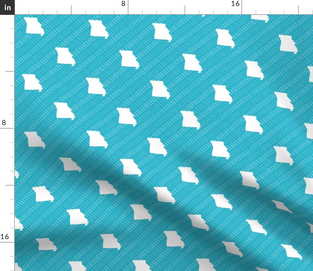 Missouri State Shape Pattern Teal and White Stripes