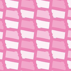 Montana State Shape Pattern Pink and White