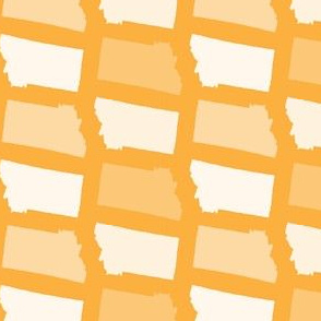 Montana State Shape Pattern Yellow and White