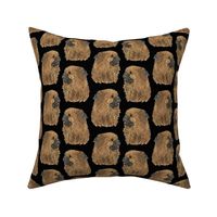 Tibetan Spaniel faces - black