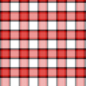 Shades of Red and Black Plaid, mid scale