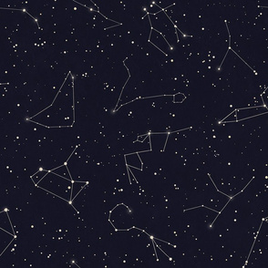 Zodiac Constellations 