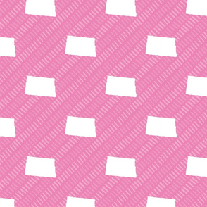 North Dakota State Shape Pattern Pink and White Stripes