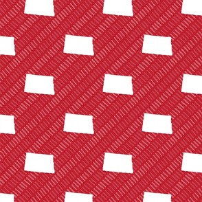 North Dakota State Shape Pattern Red and White Stripes