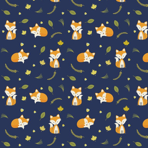 Woodland Fox Pattern Baby Boy