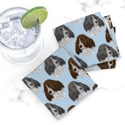 English Springer Spaniel faces - blue