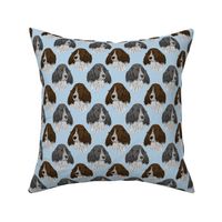 English Springer Spaniel faces - blue