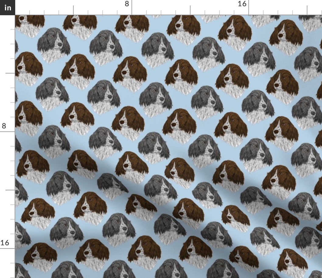 English Springer Spaniel faces - blue