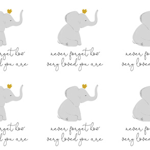 6 loveys: never forget how very loved you are elephant with crown // no lines
