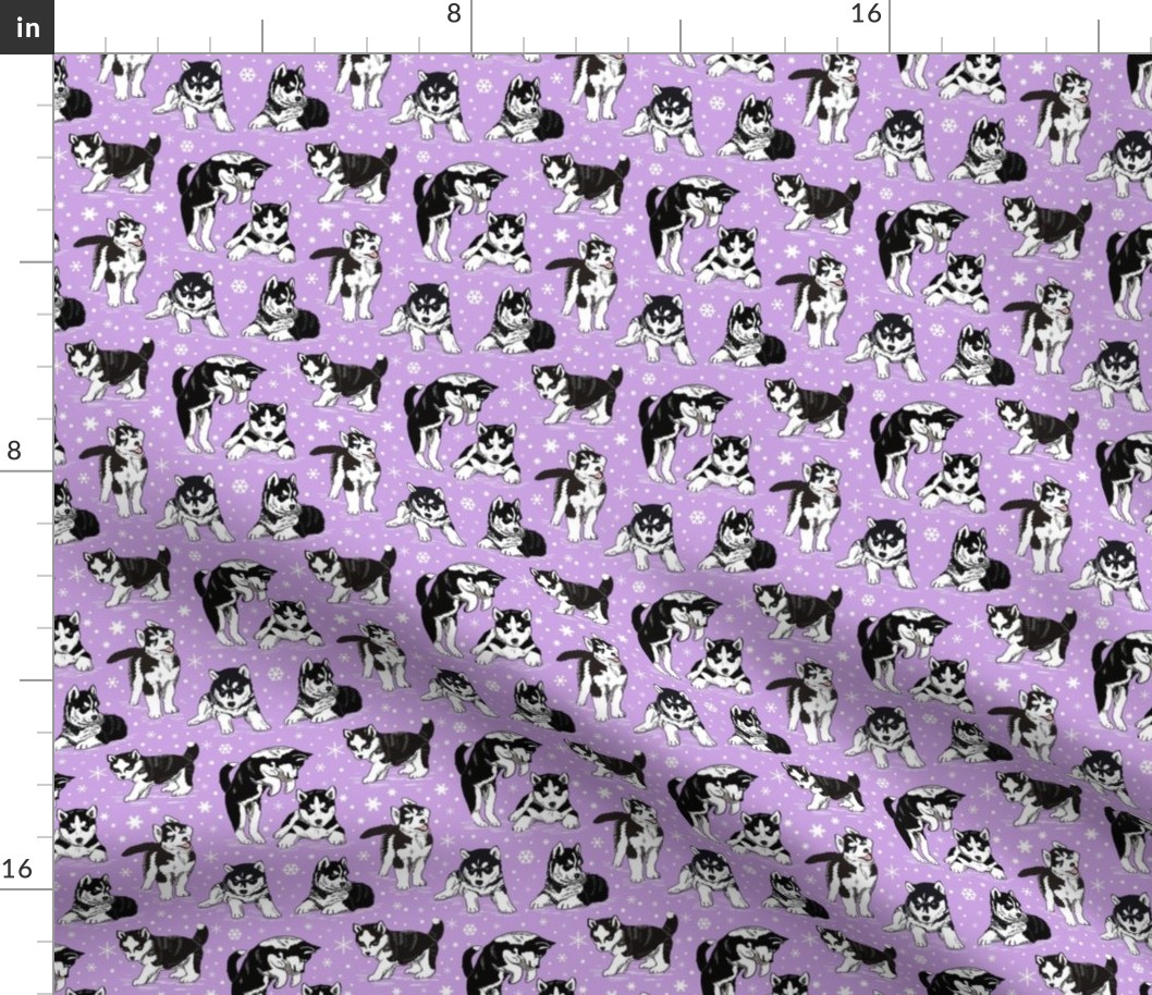 Husky puppies 4x4 lavender