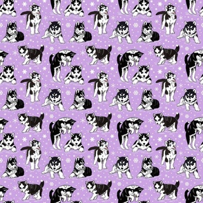 Husky puppies 6x6 lavender