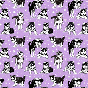 Husky puppies 8x8 lavender