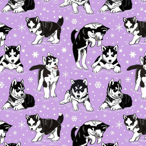 Husky puppies 12x12 lavender