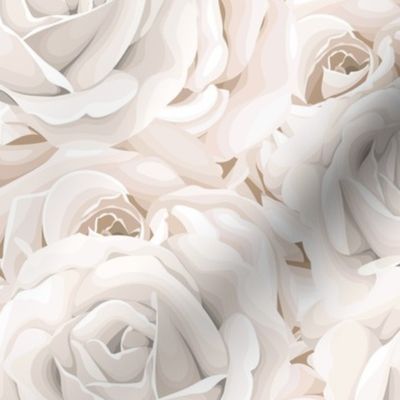 Cream Roses