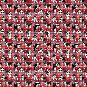 Husky red plaid 4x4