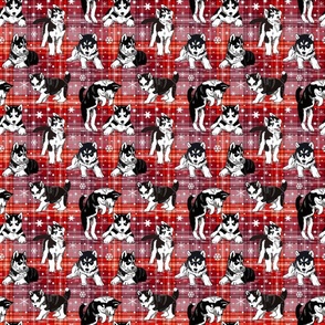 Husky red plaid 6x6