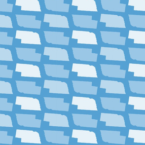 Nebraska State Shape Pattern Light Blue and White