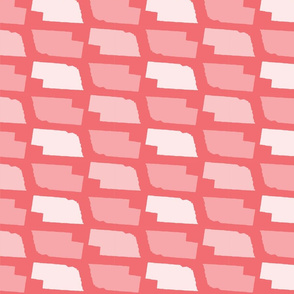 North Dakota State Outline Pattern Living Coral-01-01