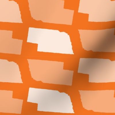 Nebraska State Shape Pattern Orange and White