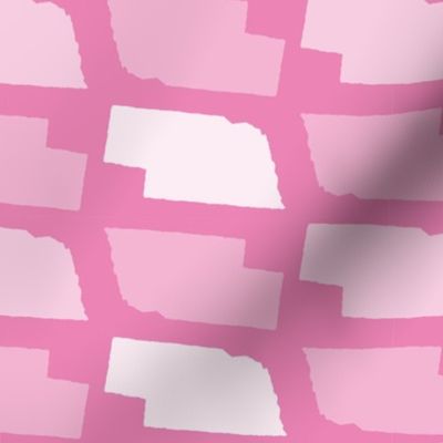 Nebraska State Shape Pattern Pink and White