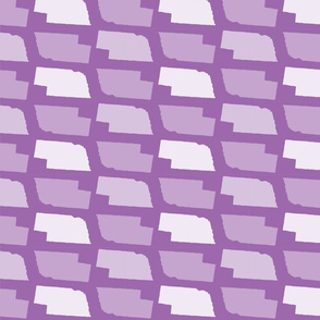 Nebraska State Shape Pattern Purple and White
