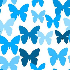 Blue Butterfly Wings