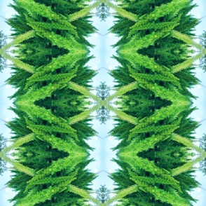 Fern Greenery - Winter