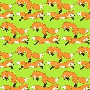 Fox on Lime