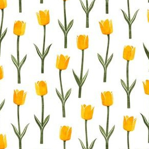 Tulips - spring flowers - yellow - LAD19