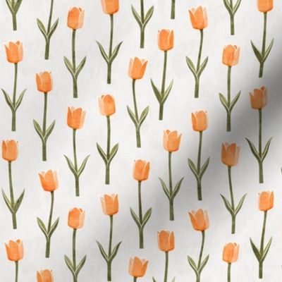 Tulips - spring flowers - peach - LAD19