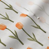 Tulips - spring flowers - peach - LAD19