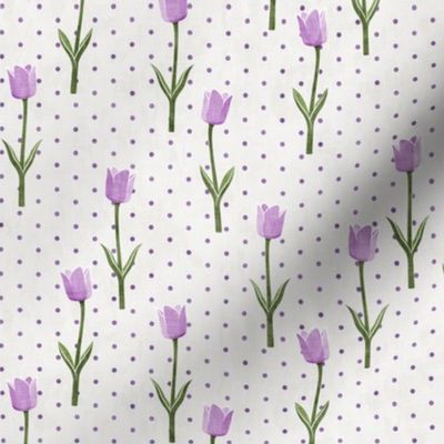 Tulips - spring flowers - purple with polka dots - LAD19