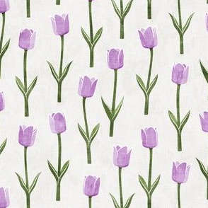 Tulips - spring flowers - purple - LAD19