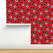 Soccer balls and cleats - red - soccer gear - LAD19