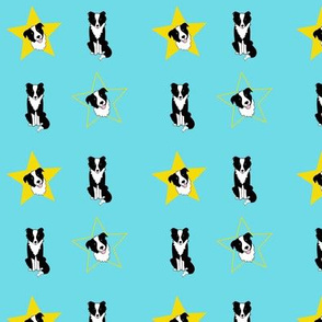 Border Collies and Yellow Stars on Turquoise