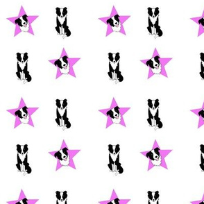 Border Collies and Stars Pink on White