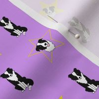 Border Collies and Stars Yellow on Purple