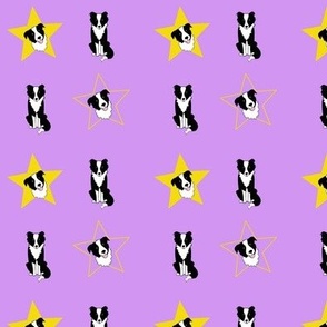 Border Collies and Stars Yellow on Purple