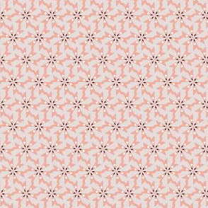 tile_p6_First collection pic _328x189