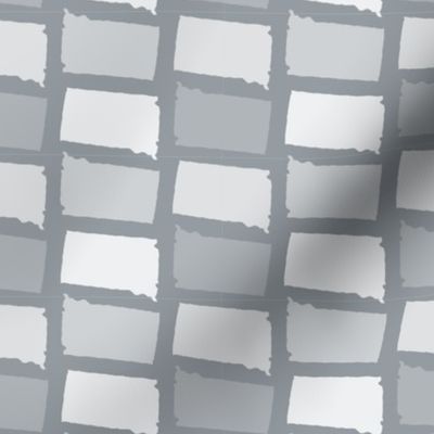 South Dakota State Shape Pattern Grey and White