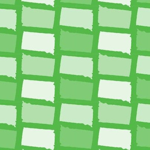 South Dakota State Shape Pattern Lime Green and White