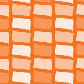 South Dakota State Shape Pattern Orange and White