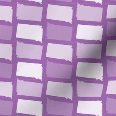 South Dakota State Shape Pattern Purple and White