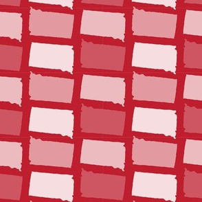 South Dakota State Shape Pattern Red and White