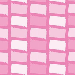 South Dakota State Shape Pattern Pink and White